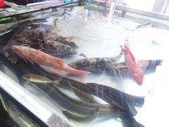 -都斛海鲜街