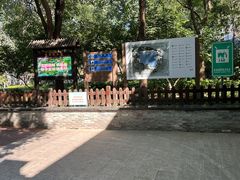 -莲花池公园