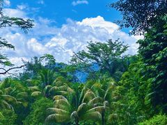 -中国科学院西双版纳热带植物园