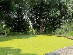 -成都市活水公园