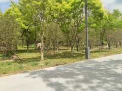 -槐房钓鱼公园