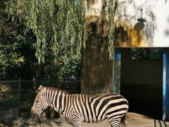 -祥源·阜阳生态乐园