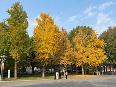 -中国政法大学(昌平校区)