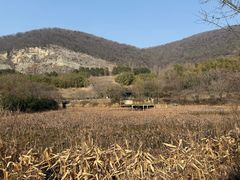 -金钉子远古世界景区