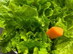 -山野的朋友露营炭火烤肉