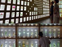 -南京中医药大学(仙林校区)