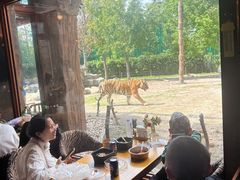 -上海野生动物园老虎餐厅