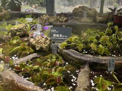 -国家植物园南园