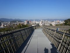 -福道