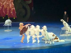 -珠海横琴长隆《卡卡虎奇遇记》