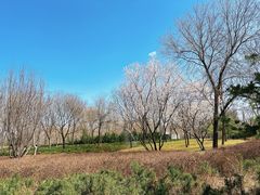 -天元公园