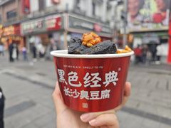 -黑色经典臭豆腐·长沙鲜食商店(坡子街店)
