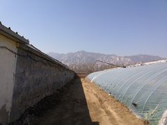 -大自然农场蔬菜草莓采摘园