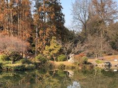 -杭州植物园