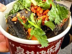 -黑色经典臭豆腐·湖南特产(坡子街店)