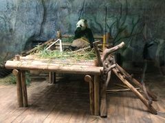 -深圳野生动物园