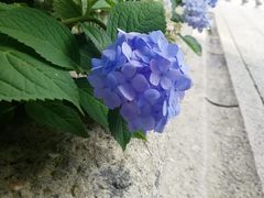 -大洋晶典(东街店)