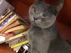 -万小咖.猫咖(中山路天虹店)