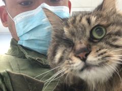 -纳吉亚猫专科动物诊疗中心(蒋宅口分院)