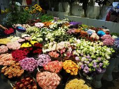-双季花艺园艺市场(浦东店)