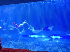 -华夏文旅海洋公园