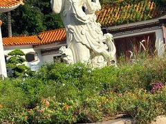 -深圳仙湖植物园