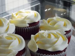 -隹木咖啡馆(宝龙广场店)