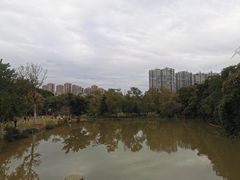 -金山公园