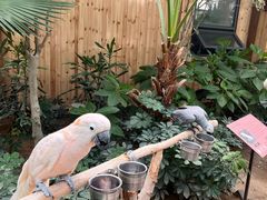 -南宫五洲植物乐园