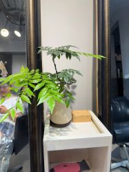 -G.O.T salon