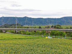 -光明小镇欢乐田园