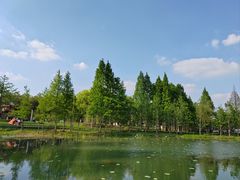 -渤公岛生态公园