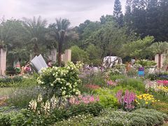 -深圳仙湖植物园