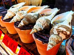 -吴记富苑(朝阳店)