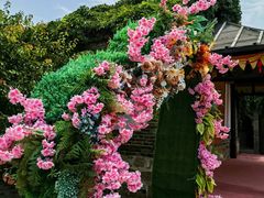 -清风小镇闯关东影视基地