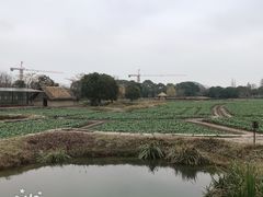-乌镇西栅景区-月老庙