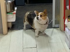 -艾蜜西餐厅(梅园店)