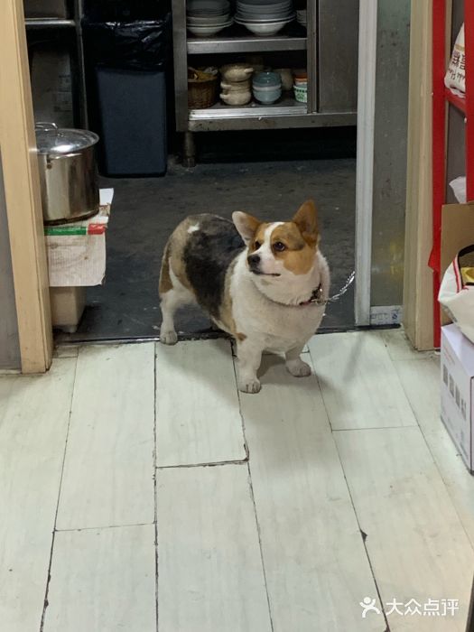 艾蜜西餐厅(梅园店)图片