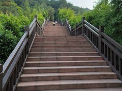 -铁山坪森林公园