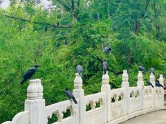 -北京动物园