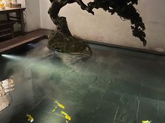 -觀芷隐轩
