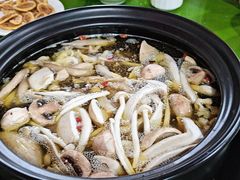 -百菇园野生菌煲(平武店)