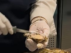 -Oyster Talks 四度蚝法餐厅