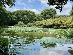 -河南省黄河迎宾馆