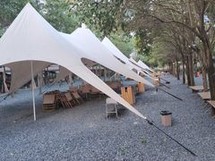 -秦岭风景区