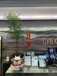 -Hair Code芭曲发型