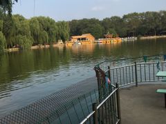 -廊坊市自然公园