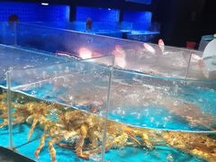-徐记海鲜(大雁塔|金都店)