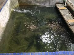 -区海鸡场饭店(石壁店)