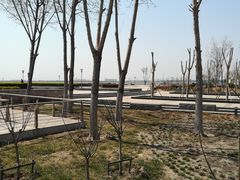-东疆建设开发纪念公园